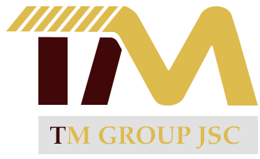 Logo Công ty Cổ phần Tập đoàn Tuệ Minh